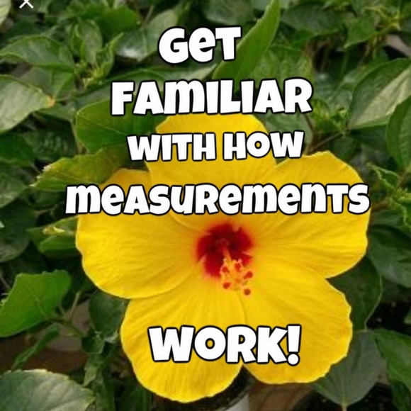 ABOUT MY CLOSET - Picture 3 of 16